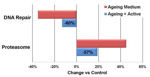 Active XY significantly slows the ageing process. Age-related changes to the Proteasome were decreased by 57%; changes to DNA repair mechanisms by 60%.
