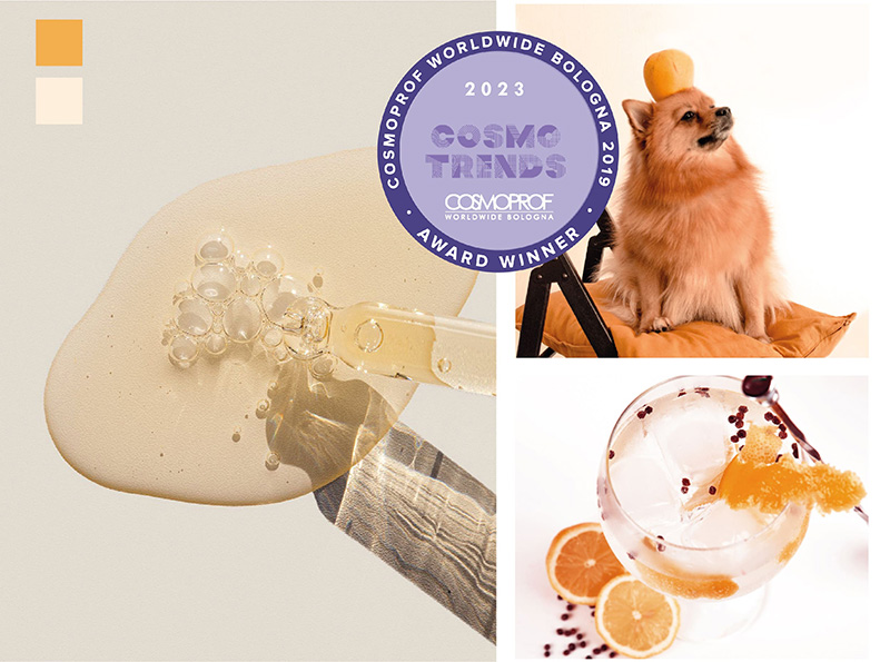 Cosmewax upcycled cosmetics have been selected by cosmotrends 2023