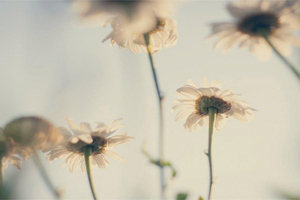 CPL Aromas launches its 2023 Sustainability Report