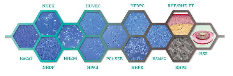Dermaclaim Lab