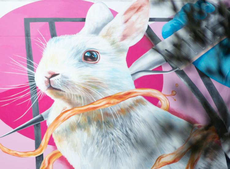 Dove and The Body Shop join forces to call upon consumers to fight for cruelty-free cosmetics in Europe