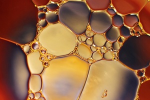 Dow inks deal with Locus PI to expand biosurfactants to personal care
