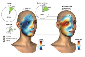 dsm-firmenich advances skin microbiome science with landmark publication on leading-edge beauty science