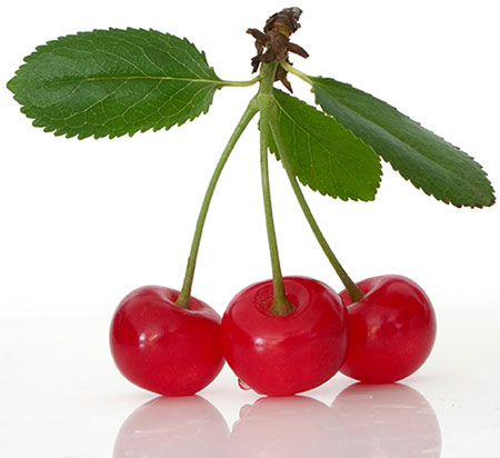 Earthoil offers Cherry Seed Oil for finer complexions