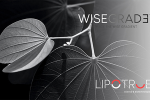 Embracing the wise and proageing gradient with Wisegrade
