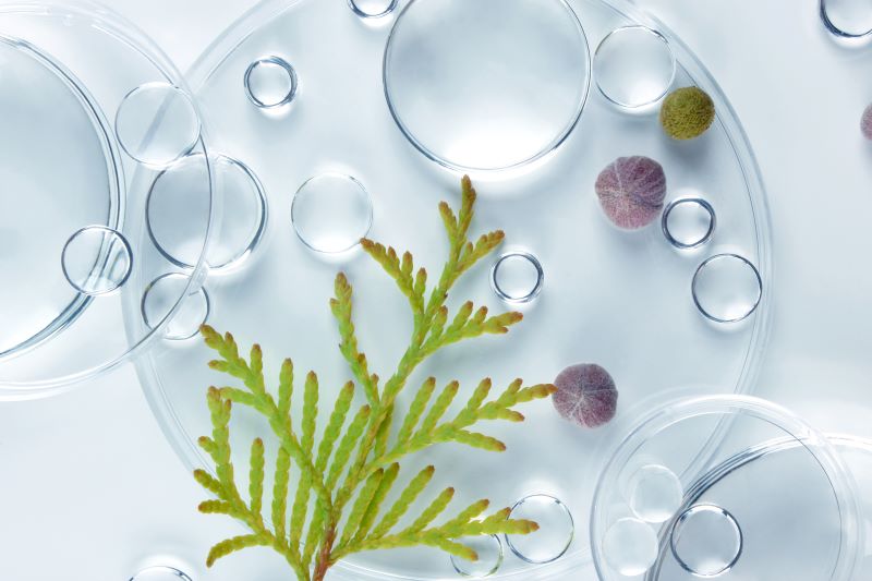 Epicutis lands $25 million minority investment to advance biotechnology capabilities