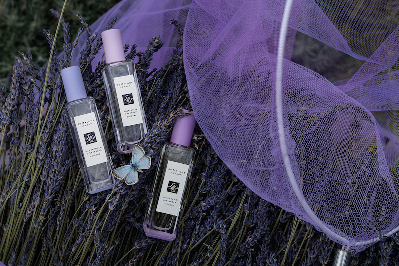 Estée Lauder Q3 sales bounce back after lagging second quarter