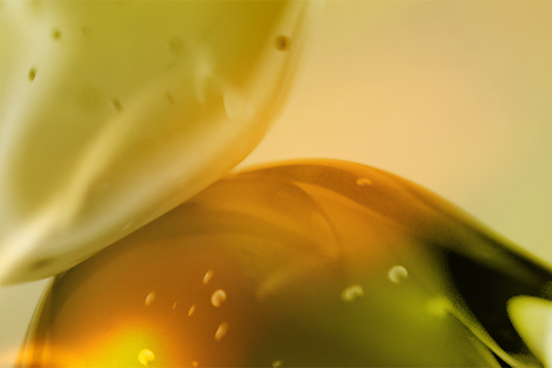 Eurofragance introduces Olivante, its latest proprietary perfumery ingredient