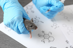 European Commission to finalise roadmap to phase out animal testing by March 2026