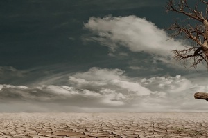 Exclusive: Water shortage tops packaging as key consumer concern, says Mintel