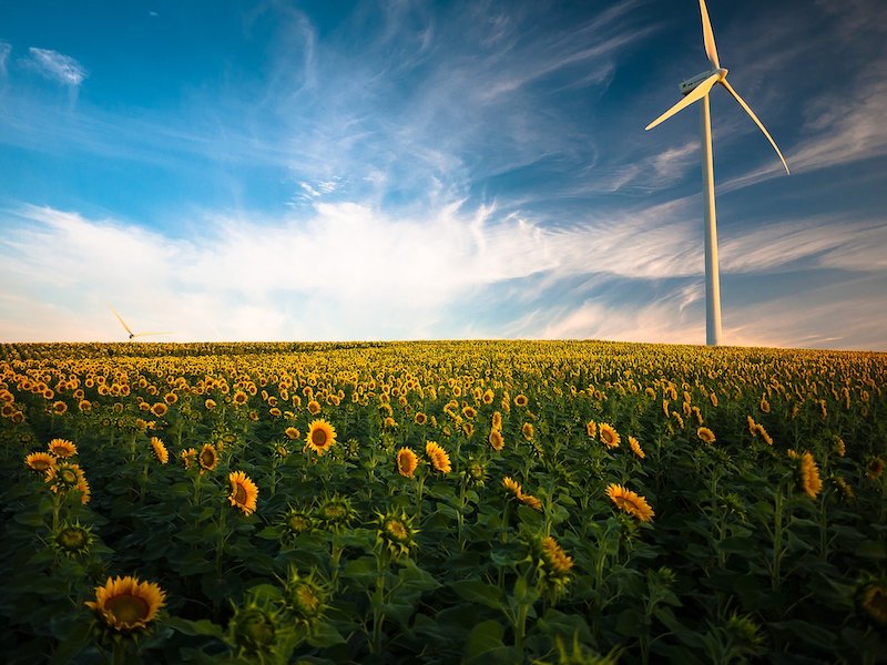 Firmenich achieves industry first with 100% renewable electricity
