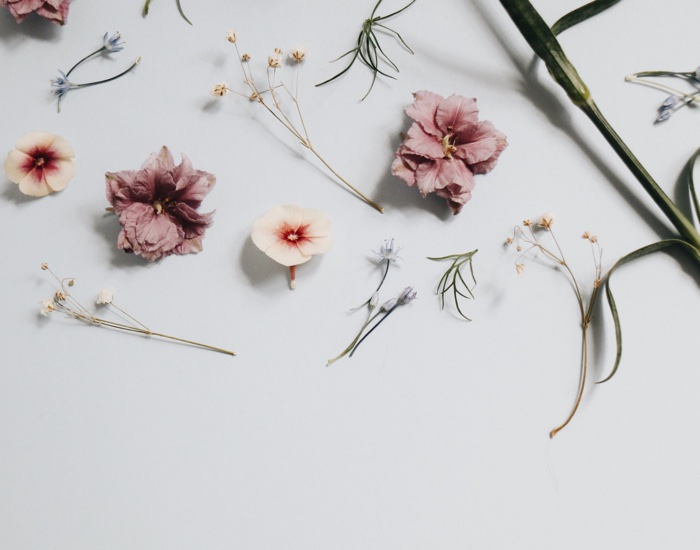 Fragrance industry worth £7bn to the UK economy