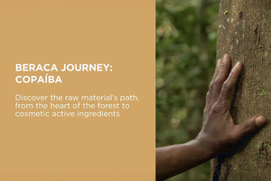 From Amazon rainforest to cosmetic excellence: The sustainable journey of Copaíba Oil