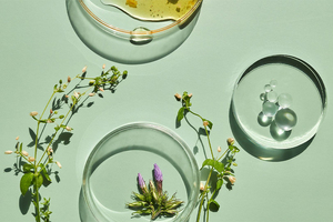 From waste to worth: how upcycled botanical actives are shaping the future of circular beauty
