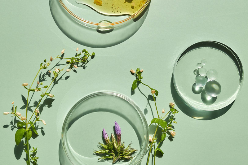 From waste to worth: how upcycled botanical actives are shaping the future of circular beauty