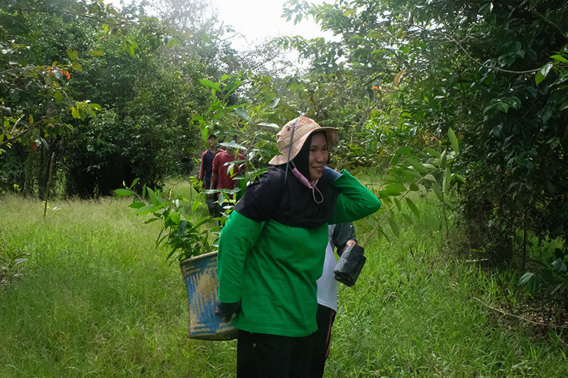 Gattefossé acts on the ground in Indonesia for responsible palm oil