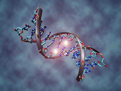 Genetics, epigenetics, proteomics and the microbiome in skin and hair regeneration