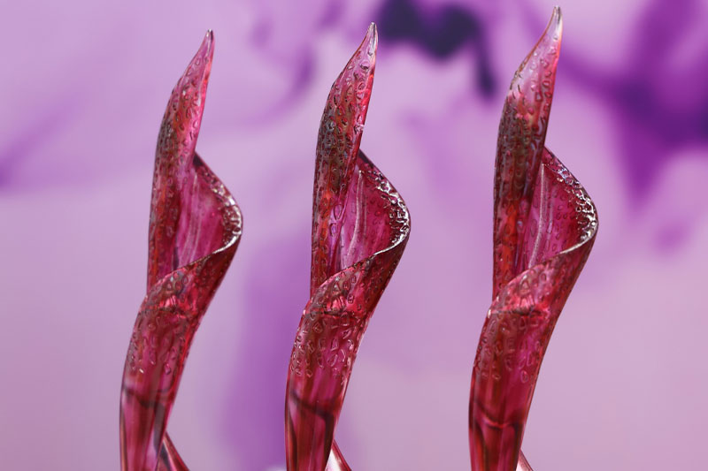 Givaudan Active Beauty wins three prestigious awards at PCHi China Fountain Awards