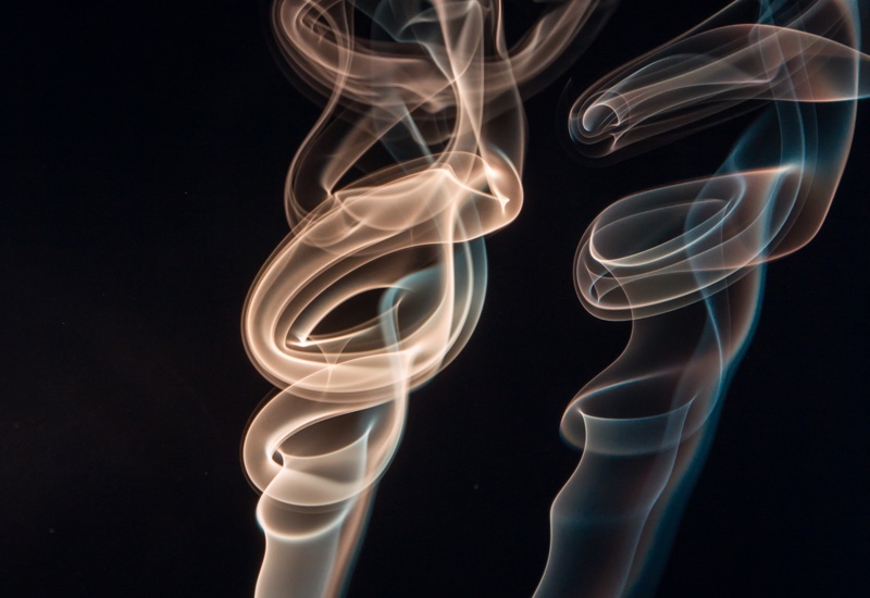 Givaudan completes Myrissi acquisition 
