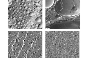 Glycerol-based liposomal systems