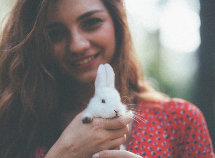 Go vegan! How to manufacture animal-free, natural make-up