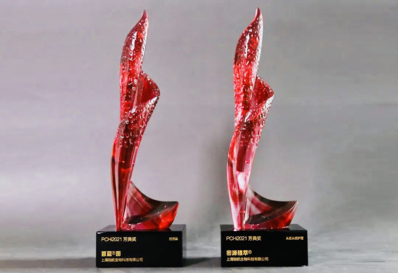 GREAF wins new Fountain Award at PCHi 2021