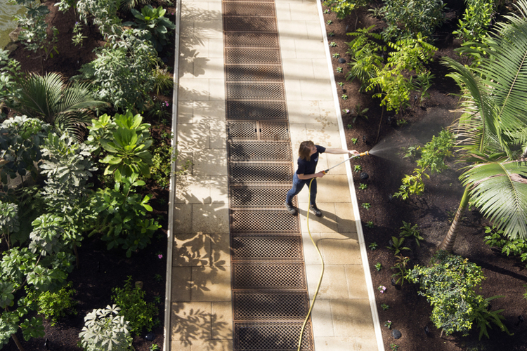 Herbal Essences grows natural credibility with Kew Gardens collaboration 