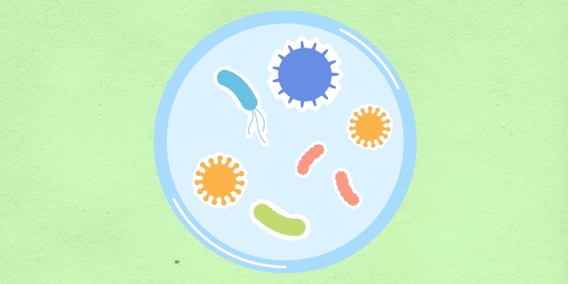 How to test for Microbiome-friendly certification
