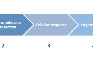 In vitro sensitization tests: 
a long and winding road