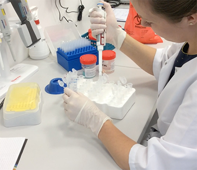 In Vitro study of the endocrine disruptors