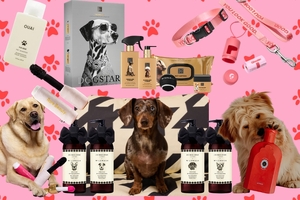 Updated: Is dog merchandise beauty's next big flex?