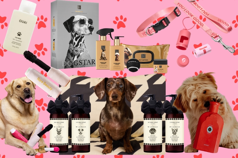 Updated: Is dog merchandise beauty's next big flex?