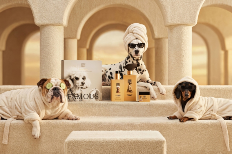 Rituals recently launched a dog care collection. AI-generated image