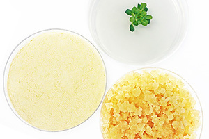 IVPT: New Plant Stem Cell Extracts