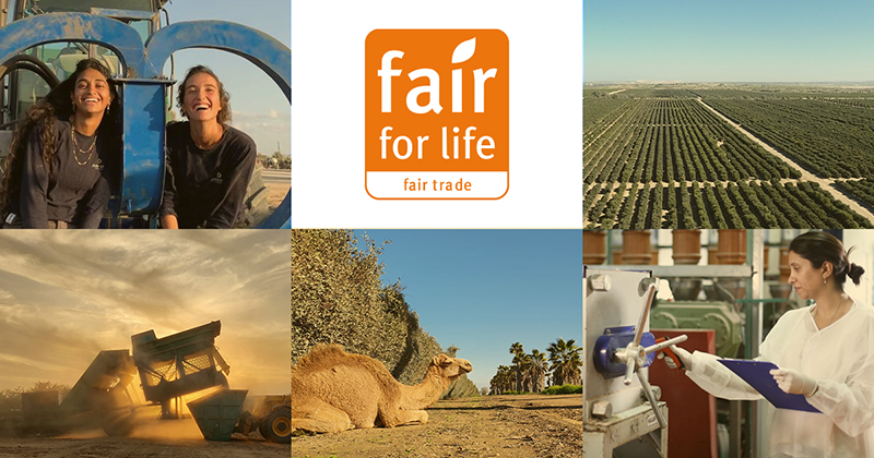 Jojoba Desert earns Fair for Life Certification 3rd year in a row