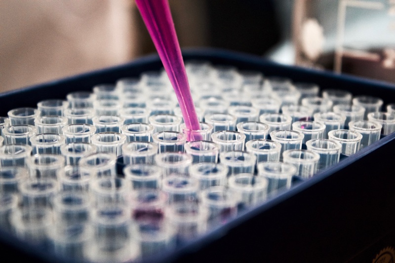 Just the veganning? MSL develops first-ever Vegan Society accredited efficacy test