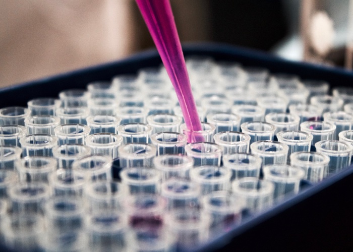 Just the veganning? MSL develops first-ever Vegan Society accredited efficacy test 