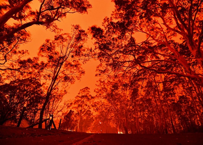 L’Occitane pledges €400,000 for climate emergencies
