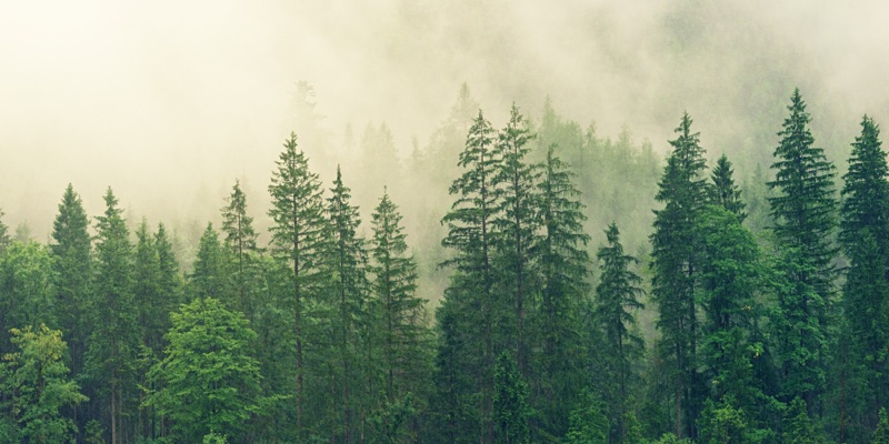 L’Oréal, Coty and Unilever among 27 companies to join Cosmetics Europe’s landmark eco initiative