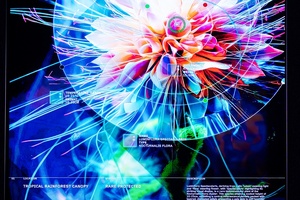 L’Oréal Luxe named Olfactory Partner of new AI art museum Dataland