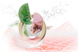 Lipoid Kosmetik AG Launches Amaretine – The Bitter-Sweet Synergy for Sensitive Skin