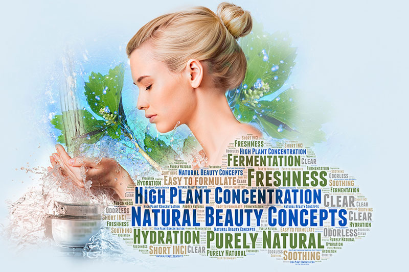 Lipoid Kosmetik AG launches new herbasol plant water products for natural beauty concepts
