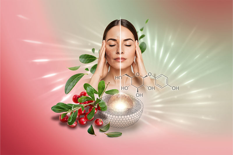 Lipoid Kosmetik launches depigmentation factor - Skin-friendly lightening with liposomal precision