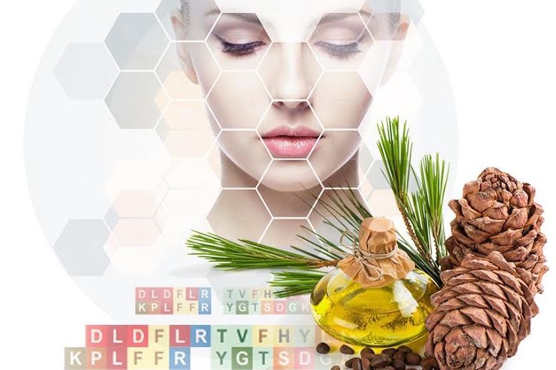 Lipoid Kosmetik unveils two novel skin care solutions 
