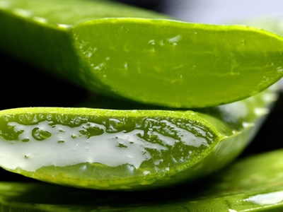LR Health & Beauty begins work on new aloe vera facility
