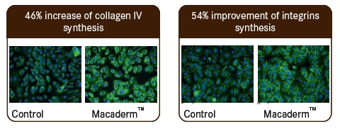 MACADERM™: Firm Skin, Healthy Skin 
