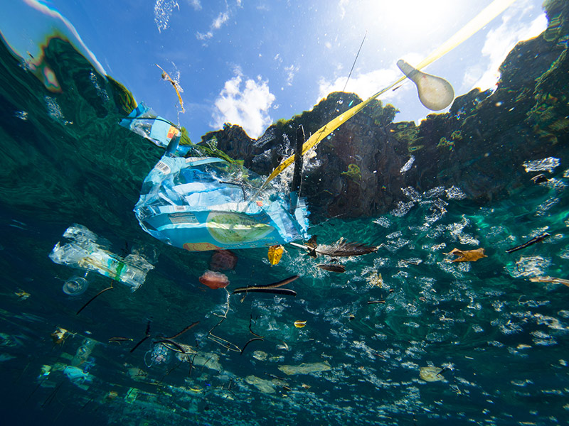 Microplastics: The plastics industry’s verdict