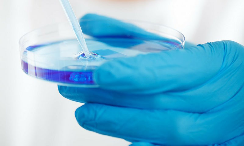 MSL pioneers world’s first vegan microbial limits and challenge tests