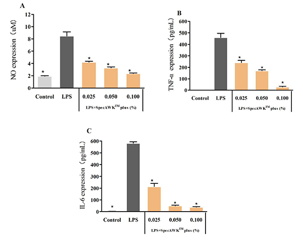 Fig 2: A,B,C Bar graphs showing NO, TNF-α and IL-6 expression results after treating LPS-induced macrophages with different concentrations of SpecAWKTMPlus, compared to control +LPS (* represents statistical significance with P value <0.05)