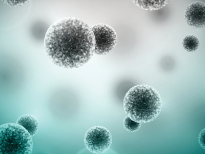 Nano-sized ingredients small but mighty